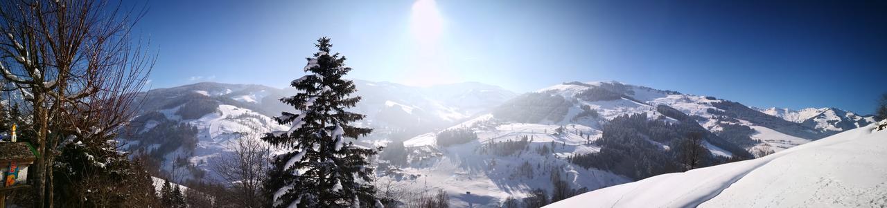 Ferienwohnung Klappacher Maria Alm am Steinernen Meer Exterior foto
